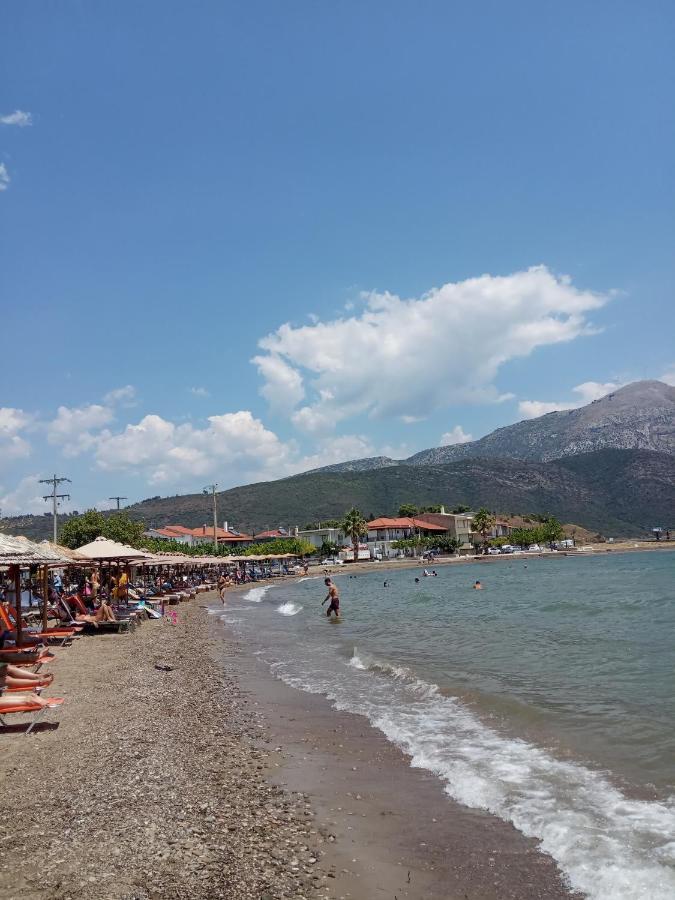 Apartament Πέτρινο Στη Θάλασσα Nafpaktos Zewnętrze zdjęcie